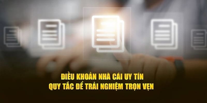 Điều Kiện Điều Khoản Sử Dụng Vnbet77 Cho Hội Viên 8 Điều khoản vi phạm nhà cái