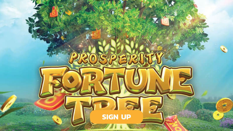PG Điện Tử - Nhà phát hành game đẳng cấp nhất 2025 8 Game Tree of Fortune nổi tiếng từ nhà phát hành PG Điện Tử